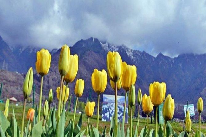 Private Custom Tour: Gulmarg Local Sightseeing With Guide - Logistics and Accessibility