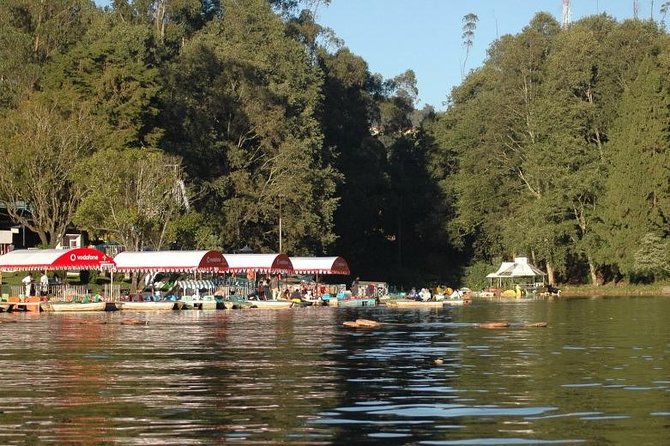 Private Custom Tour: Ooty Sightseeing With Guide - Pricing Details