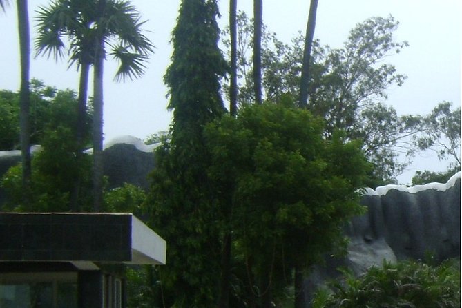 Private Day Tour Of Arignar Anna Zoological Park From Chennai - Meeting Point and Start Time
