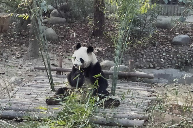 Private Day Tour of Chengdu City Overivew - Ticket Redemption Point