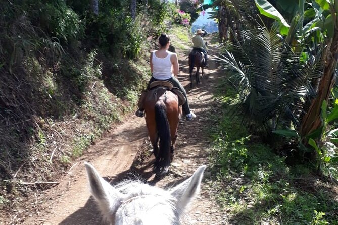 Private Day Tour of Jardín With Horseback Ride and Coffee Villa From Medellin - Inclusions