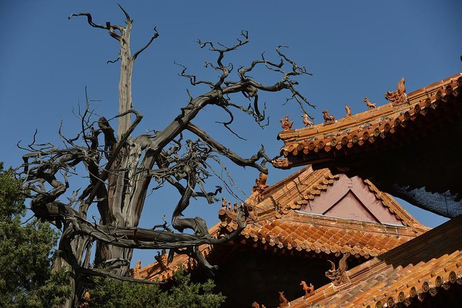 Private Day Tour to Confucius Home Town Qufu by Bullet Train From Beijing - Itinerary Overview