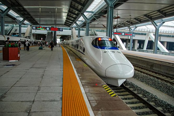 Private Day Tour to Datong From Beijing by Bullet Train - Tour Details