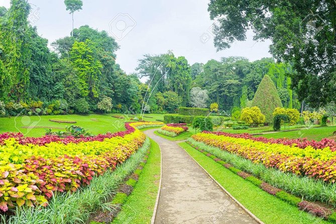 Private Day Tour To Kandy From Wadduwa - What To Expect