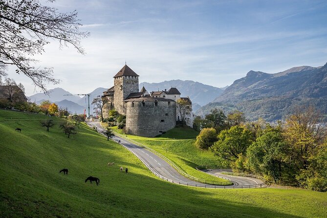 Private Day Trip From Basel to Zurich, Vaduz and Back - Pickup and Drop-off Details