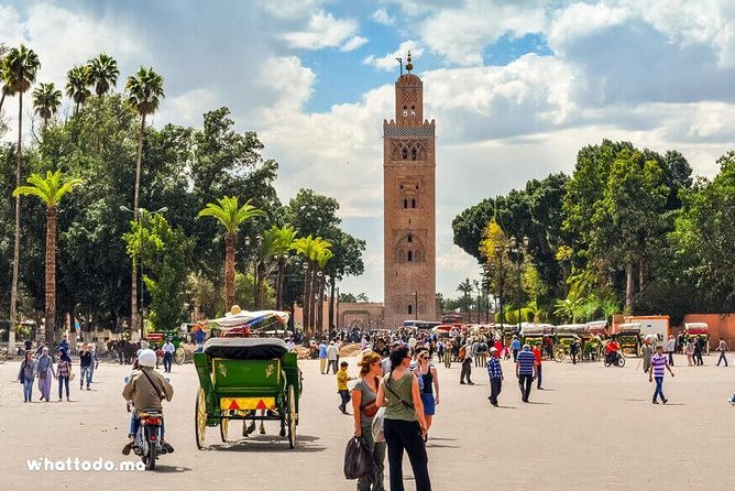 Private Day Trip to Marrakech - Amenities and Accessibility