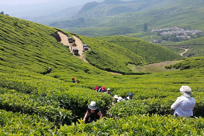 Private Day Trip to Munnar From Kochi (Cochin) - Inclusions and Exclusions