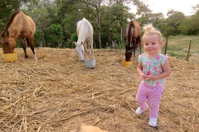 Private Eco Adventure Parrot Sanctuary Family Day in Colombia - Meeting and Departure