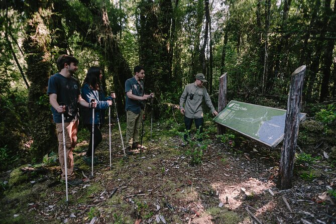 Private Excursion in Tepuhueico Park - Meeting and Pickup Details