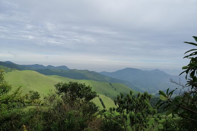 Private Excursion to Yanacocha Reserve- Bird Watch - Bird Watching Experience