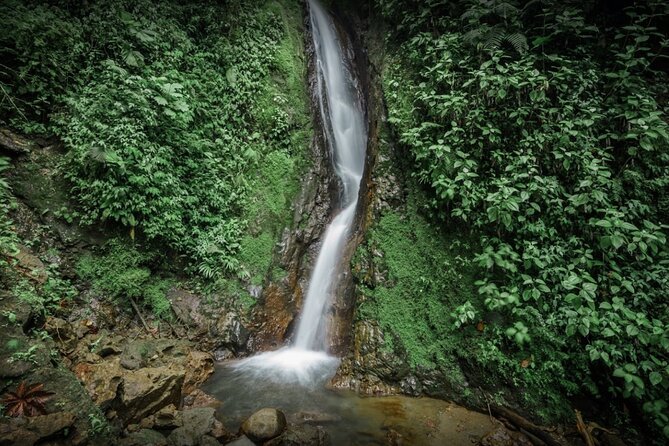 Private Expedition on Mistico Park Arenal Hanging Bridges - Transportation Information