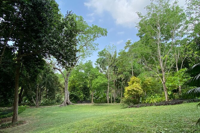 Private Experience in the Botanical Garden With Transportation Included - Tour Itinerary Details