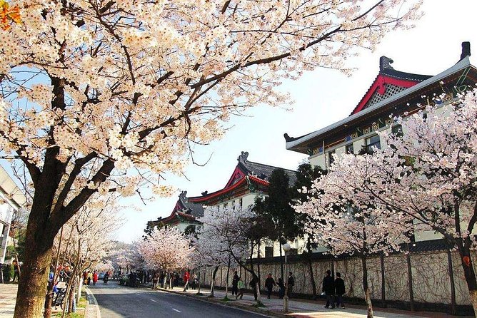 Private Flexible Nanjing Layover Tour in Your Way