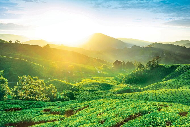Private Full-Day Cameron Highlands Nature Tour From Kuala Lumpur - Tour Duration and Capacity