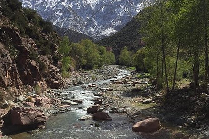 Private Full-Day Excursion to Ouzoud Waterfalls From Marrakech - Trip Overview