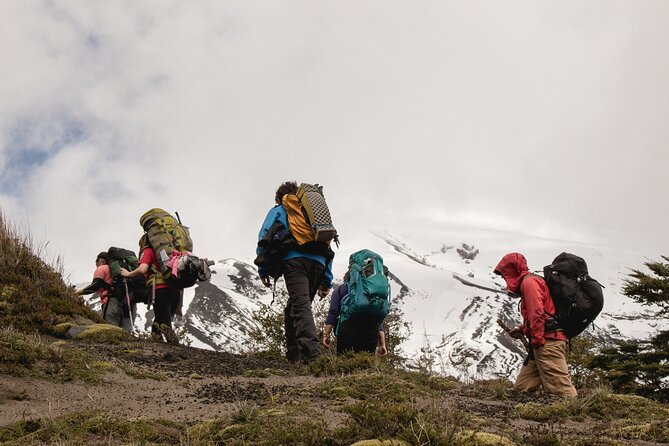 Private Full Day Hiking in Paso Desolación - Meeting and Pickup