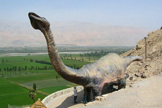 Private Full Day: Majes, Toro Muerto and Dinosaur Footprints. From Arequipa - Additional Info
