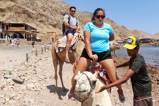 Private Full Day Snorkeling, Camel Ride Tour In Dahab From Sharm El Sheikh - Inclusions
