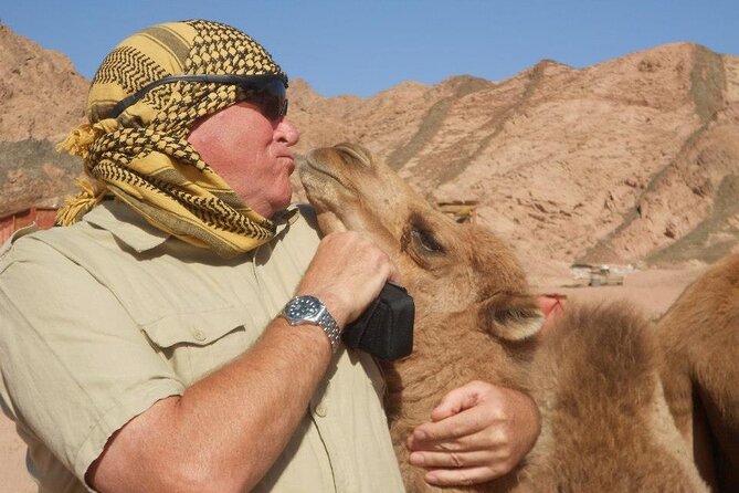 Private Full Day Snorkeling, Camel Ride With Lunch In Dahab From Sharm El Sheikh - Meeting and Pickup