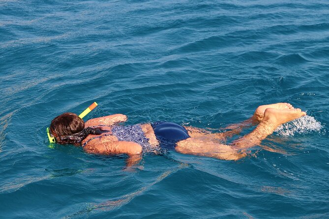 Private Full Day Snorkeling to Red Sea Safaga From Luxor - Logistics
