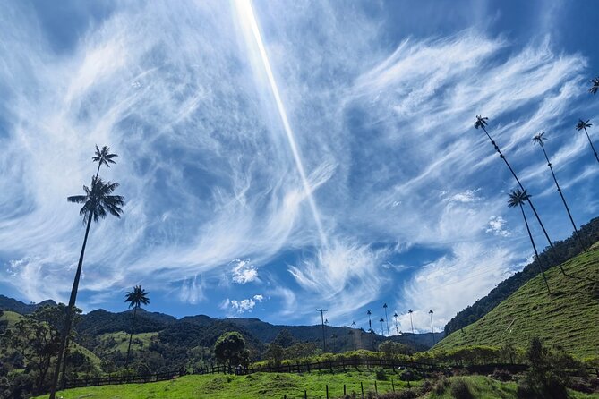 Private Full Day Tour Cocora Salento and Filandia - Booking Process