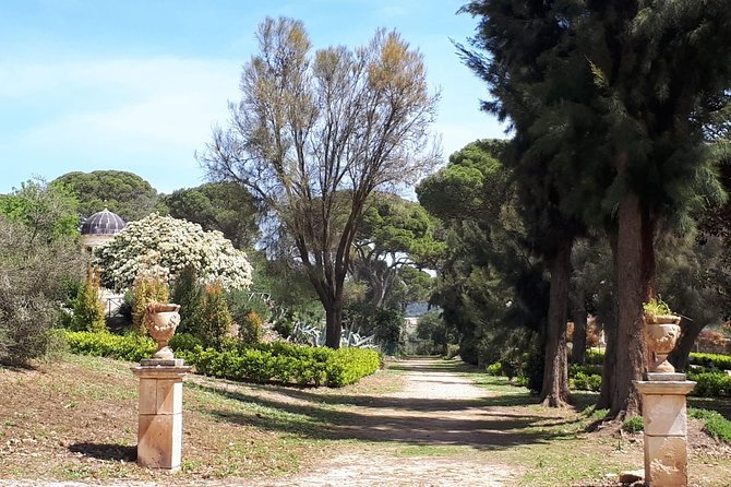 Private Full Day Tour From Catania: Unknown Sicily - Tour Highlights