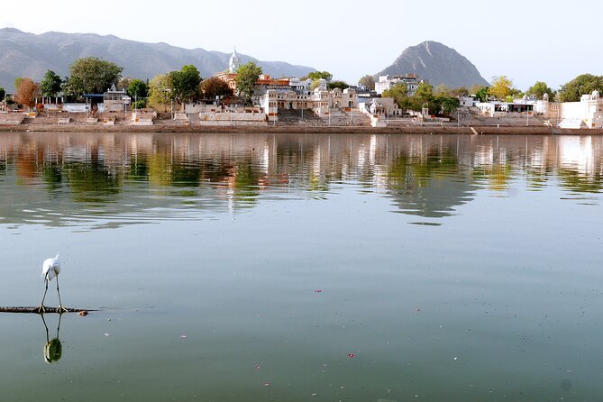 Private Full Day Tour of Ajmer & Pushkar From Jaipur - Ajmer Dargah Sharif