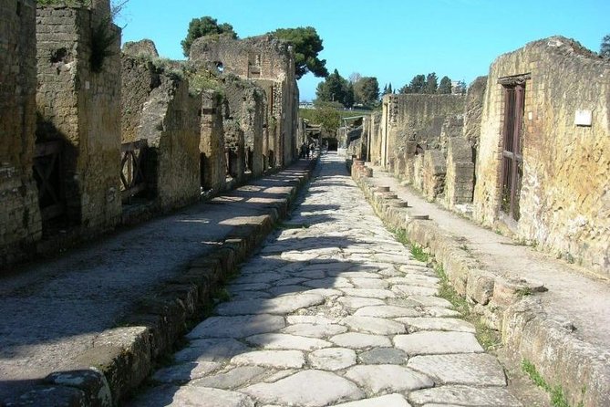 Private Full Day Tour Pompeii Mt Vesuvius and Winery - What To Expect