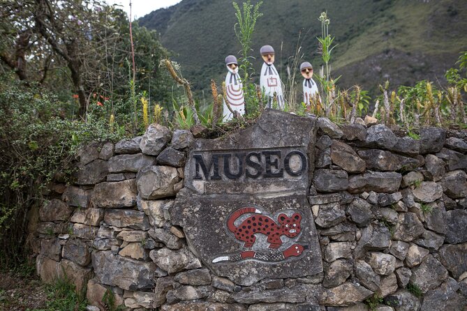 Private Full-Day Tour to Leymebamba Museum and Revash - What To Expect