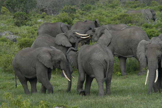 Private Full-Day Trekking Adventure in Arusha National Park - Excluded Services