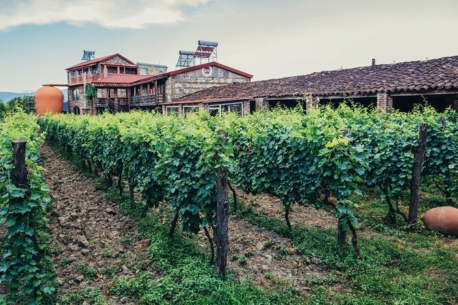 Private Full-Day Vintage Grape Harvest Festival With Lunch - Inclusions