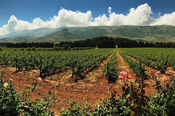 Private Full-Day Wine Tasting Tour With Lunch From Beirut - Inclusions and Logistics