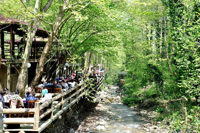 Private Green Sapanca Day Tour From Istanbul - Meeting and Pickup