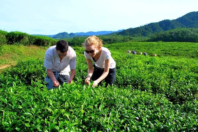 Private Guided Tour: a Spring Day in Dong Giang From Da Nang - Pickup Details