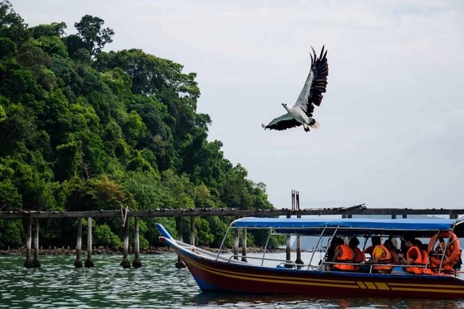 Private Guided Tour and Eagle Watching in Southern Island Geopark - Booking Details