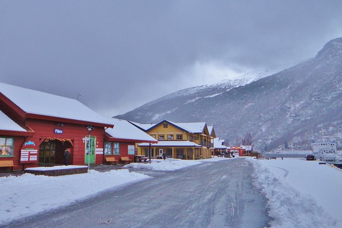 PRIVATE GUIDED TOUR: Sketches of Norway – Gudvangen and Stegastein, 12.5 Hours - Inclusions and Exclusions