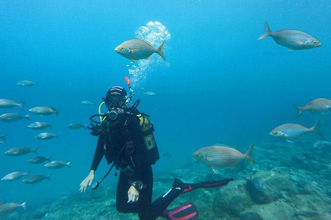 Private Half-Day Snorkeling in Hurghada Red Sea - What To Expect