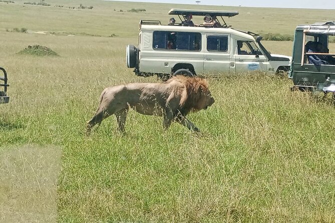 Private Half Day Tour in Nairobi National Park