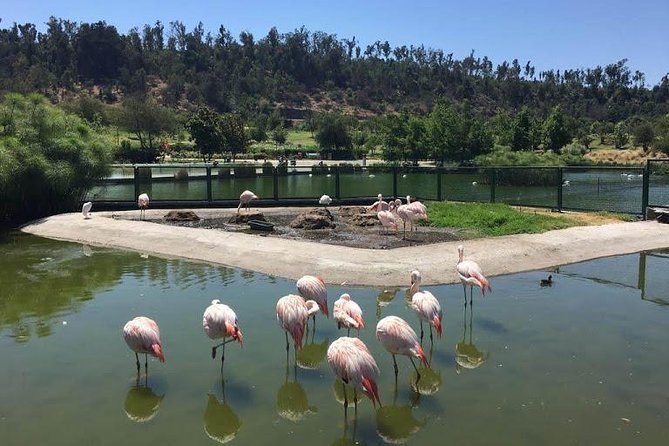 Private Half Day Tour in Santiago - Price and Booking