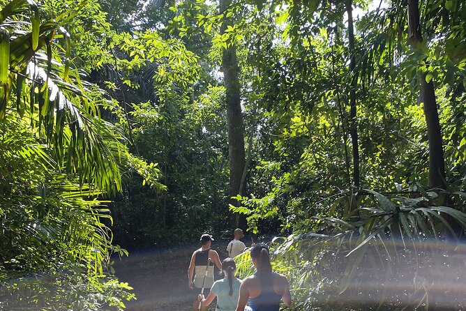 Private Hiking in Masingini Forest From Stone Town