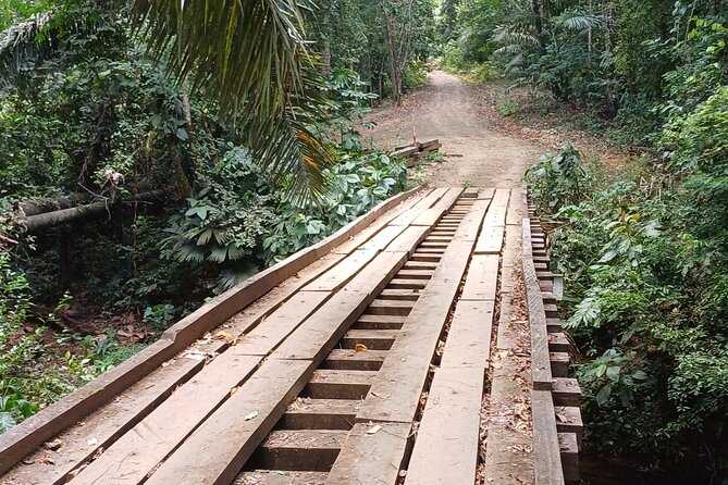 Private Hiking Tour at Soberania National Park - Pickup Details