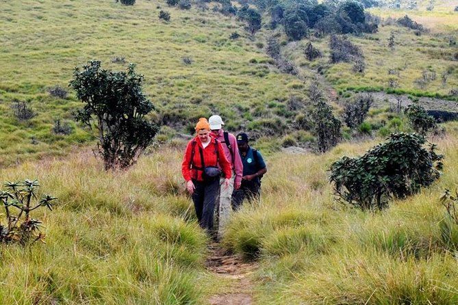 Private Hiking Tour to Kirigalpoththa Mountain via Horton Plains - Inclusions and Highlights