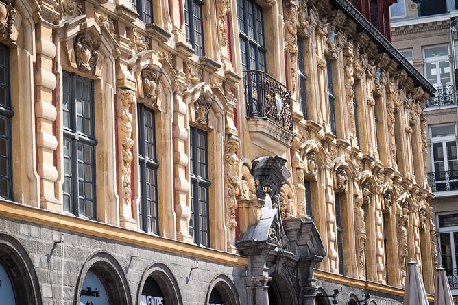 Private Historic Walking Tour in Lille - Operator Information