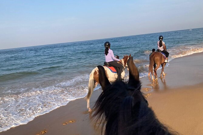 Private Horse Riding Activity in Port City - Activity Inclusions
