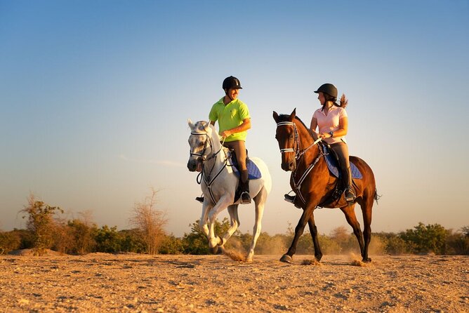Private Horse Riding Tour in Luxor West Bank - Tour Details