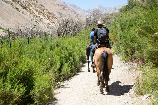 Private Horseback Riding and Wines From Santiago - Travel Logistics