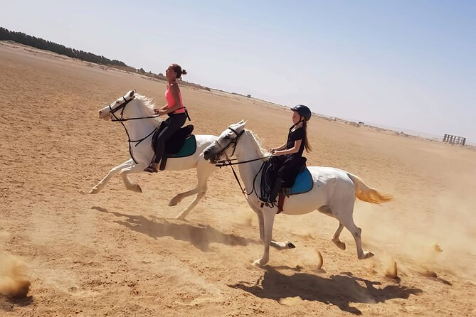 Private Horseback Riding in Hurghada With Transfer - Cancellation Policy & Flexibility