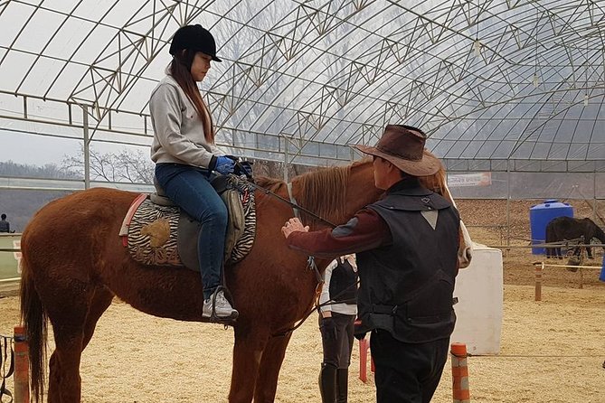 Private Horseback Riding With English Lesson in Seoul