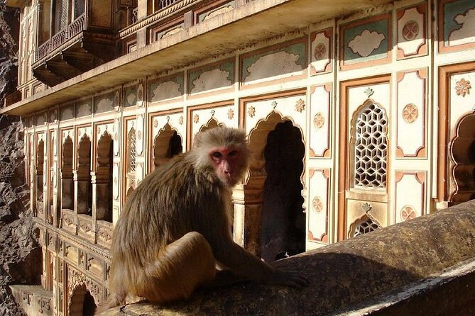 Private Jaipur Sightseeing Tour With Guide - Expectations and Accessibility