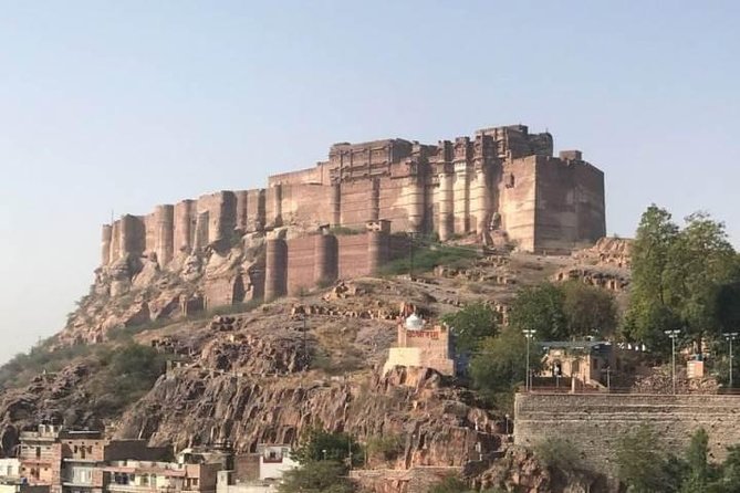 Private Jodhpur City Tour & Bishnoi Villages Tour